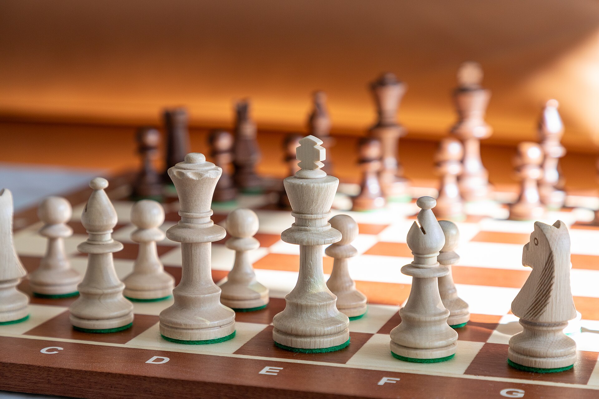 ♟️ 8. Platz bei der Bundesrunde der Schulschachmeisterschaft
